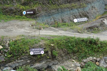 福井県立恐竜博物館に投稿された画像（2025/11/23）