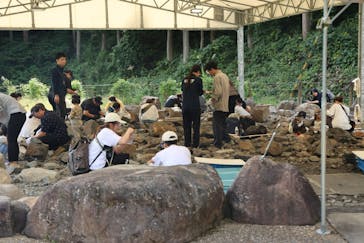 福井県立恐竜博物館に投稿された画像（2025/11/23）