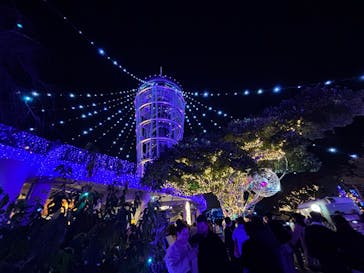 江の島シーキャンドルに投稿された画像（2025/11/23）