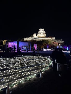 Himeji Castle of Light『DANDELION PROJECT 姫路城×NAKED, INC.』に投稿された画像（2025/11/23）
