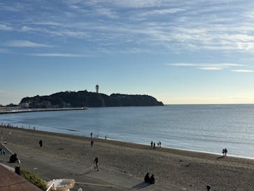 新江ノ島水族館に投稿された画像（2025/11/23）