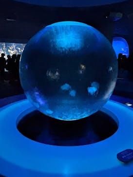 新江ノ島水族館に投稿された画像（2025/11/23）