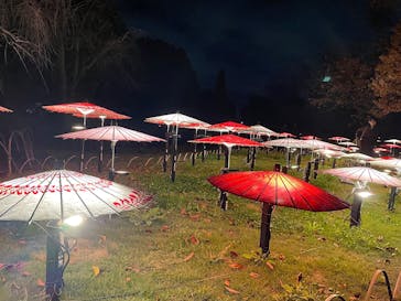 国営昭和記念公園 秋の夜散歩に投稿された画像（2025/11/23）