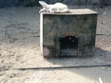 伊豆シャボテン動物公園に投稿された画像（2025/11/23）