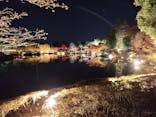 国営昭和記念公園 秋の夜散歩に投稿された画像（2025/11/23）