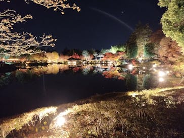 国営昭和記念公園 秋の夜散歩に投稿された画像（2025/11/23）
