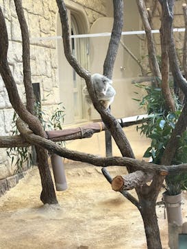 名古屋市東山動植物園に投稿された画像（2025/11/23）