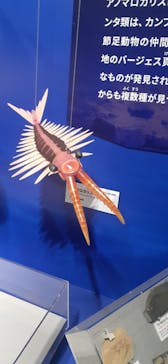 特別展「大絶滅展―生命史のビッグファイブ」に投稿された画像（2025/11/23）