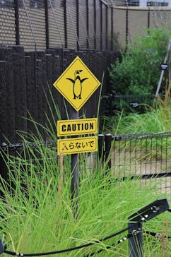 天王寺動物園に投稿された画像（2025/11/23）