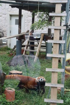 天王寺動物園に投稿された画像（2025/11/23）