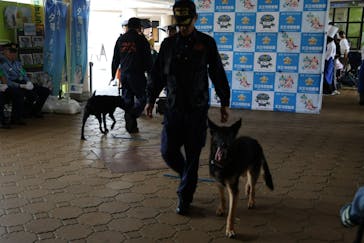 天王寺動物園に投稿された画像（2025/11/23）