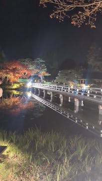 国営昭和記念公園 秋の夜散歩に投稿された画像（2025/11/23）