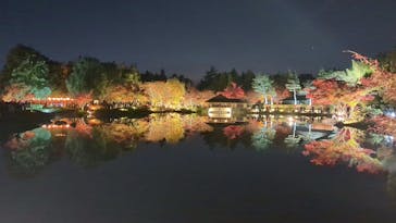 国営昭和記念公園 秋の夜散歩に投稿された画像（2025/11/23）