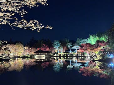 国営昭和記念公園 秋の夜散歩に投稿された画像（2025/11/23）