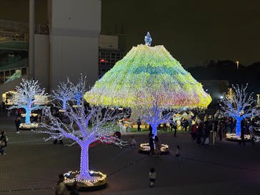 東京メガイルミに投稿された画像（2025/11/23）