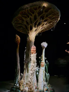 金曜ロードショーとジブリ展（静岡展）に投稿された画像（2025/11/23）