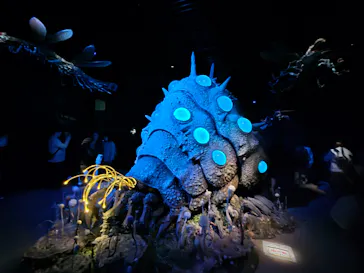 金曜ロードショーとジブリ展（静岡展）に投稿された画像（2025/11/23）