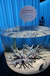 NIFREL（ニフレル）に投稿された画像（2025/11/23）