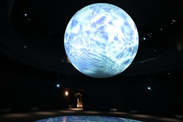 NIFREL（ニフレル）に投稿された画像（2025/11/23）