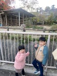 名古屋市東山動植物園に投稿された画像（2025/11/23）