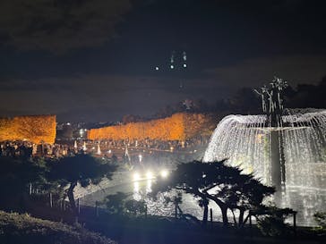 国営昭和記念公園 秋の夜散歩に投稿された画像（2025/11/23）