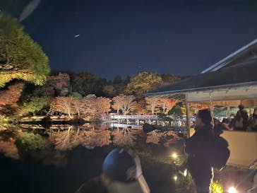 国営昭和記念公園 秋の夜散歩に投稿された画像（2025/11/23）