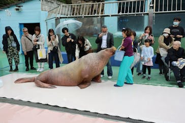 ゼロ距離水族館 伊勢シーパラダイスに投稿された画像（2025/11/23）
