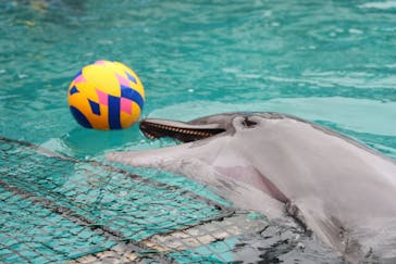 ゼロ距離水族館 伊勢シーパラダイスに投稿された画像（2025/11/23）