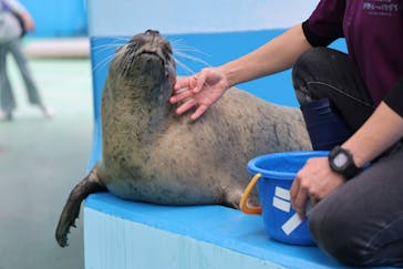 ゼロ距離水族館 伊勢シーパラダイスに投稿された画像（2025/11/23）