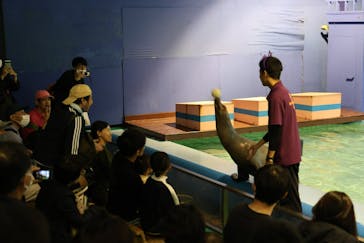 ゼロ距離水族館 伊勢シーパラダイスに投稿された画像（2025/11/23）