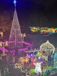 とっとり花回廊に投稿された画像（2025/11/23）