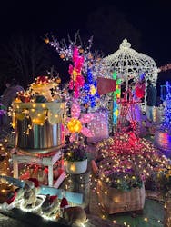 とっとり花回廊に投稿された画像（2025/11/23）