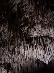 おきなわワールドに投稿された画像（2025/11/23）