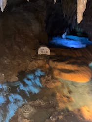 おきなわワールドに投稿された画像（2025/11/23）