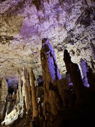 おきなわワールドに投稿された画像（2025/11/23）