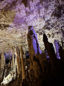 おきなわワールドに投稿された画像（2025/11/23）