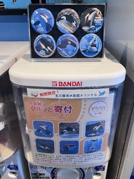 名古屋港水族館に投稿された画像（2025/11/23）