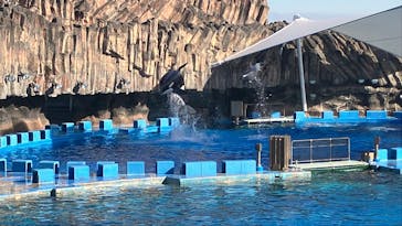 名古屋港水族館に投稿された画像（2025/11/23）
