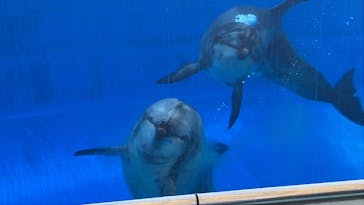 名古屋港水族館に投稿された画像（2025/11/23）