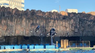 名古屋港水族館に投稿された画像（2025/11/23）