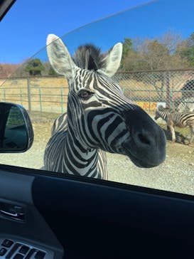 東北サファリパークに投稿された画像（2025/11/23）