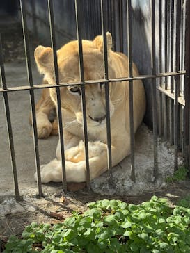 東北サファリパークに投稿された画像（2025/11/23）