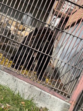 東北サファリパークに投稿された画像（2025/11/23）