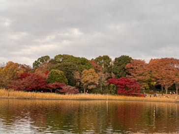 国営昭和記念公園 秋の夜散歩に投稿された画像（2025/11/23）