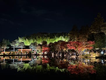 国営昭和記念公園 秋の夜散歩に投稿された画像（2025/11/23）