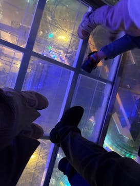 あらかわ遊園に投稿された画像（2025/11/23）