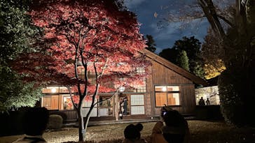 江戸東京たてもの園に投稿された画像（2025/11/23）