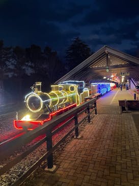 修善寺虹の郷に投稿された画像（2025/11/23）