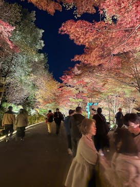 名古屋市東山動植物園に投稿された画像（2025/11/23）