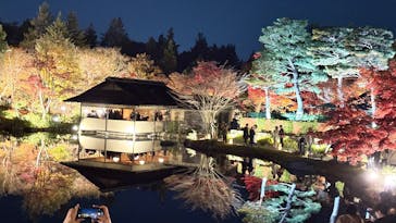 国営昭和記念公園 秋の夜散歩に投稿された画像（2025/11/23）